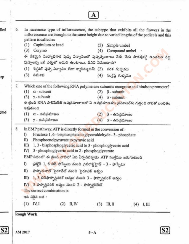 Eamcet 2014 Paper Pdf